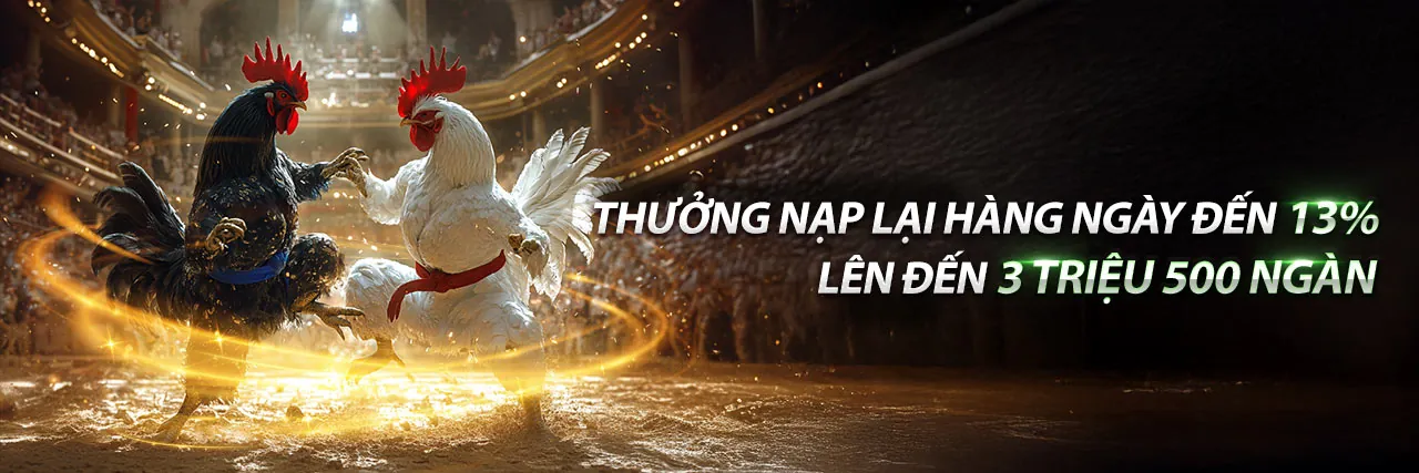 Hình ảnh chính blog 8vnd login về cá cược thể thao và casino trực tuyến