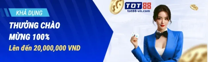 Chính sách quyền riêng tư nghiêm ngặt của 8vnd